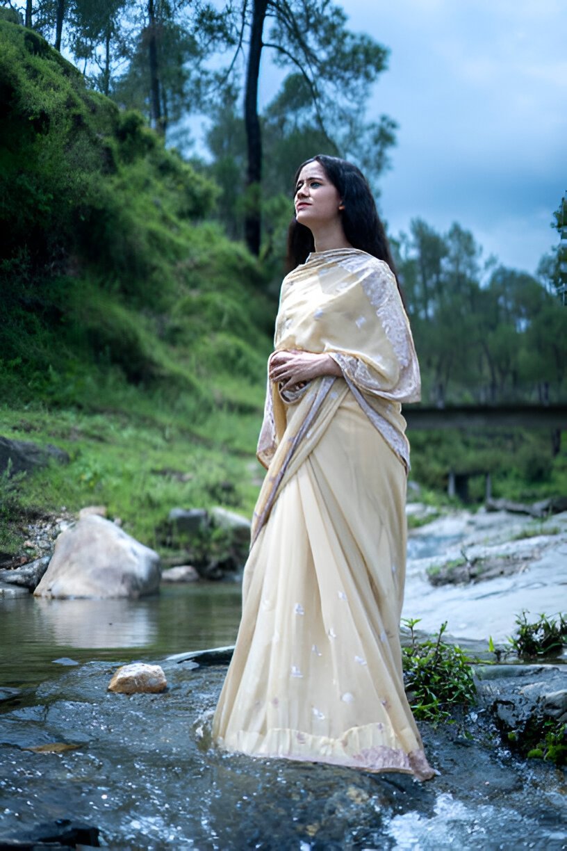 wedding party wear saree